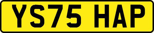 YS75HAP