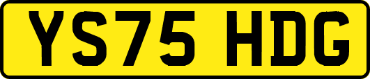 YS75HDG