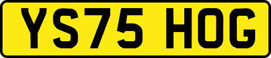 YS75HOG