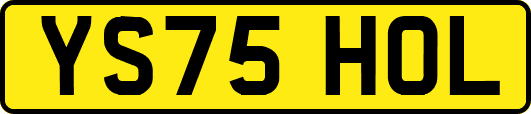 YS75HOL