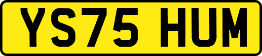 YS75HUM