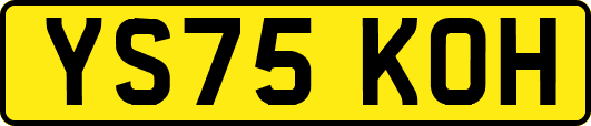 YS75KOH