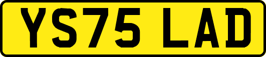 YS75LAD