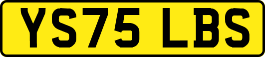YS75LBS