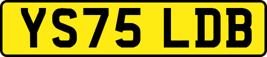 YS75LDB