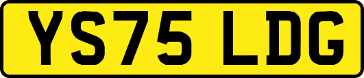 YS75LDG