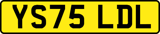 YS75LDL
