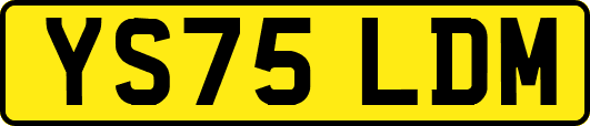 YS75LDM