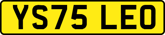 YS75LEO