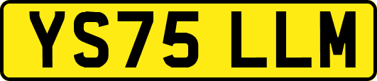 YS75LLM