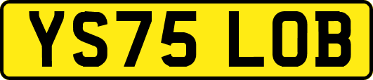 YS75LOB