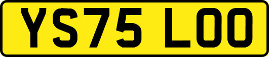 YS75LOO