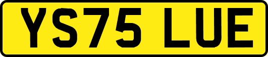 YS75LUE