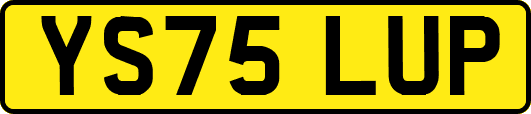 YS75LUP