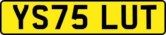 YS75LUT