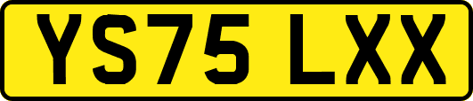 YS75LXX