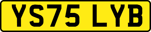 YS75LYB