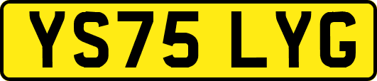 YS75LYG