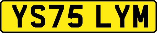YS75LYM