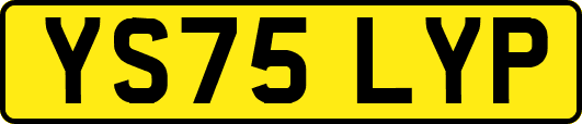 YS75LYP