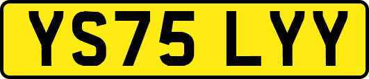 YS75LYY
