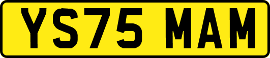 YS75MAM