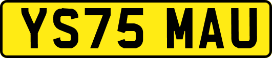 YS75MAU