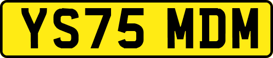 YS75MDM