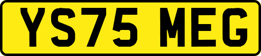 YS75MEG
