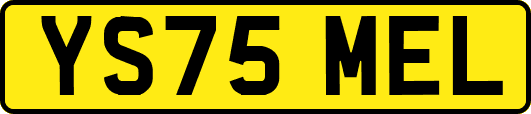 YS75MEL