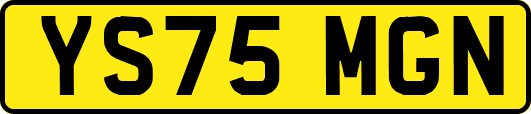 YS75MGN