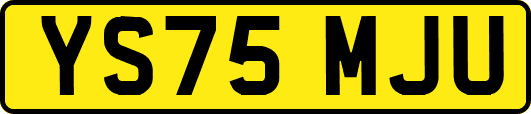 YS75MJU