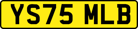 YS75MLB