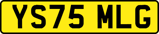 YS75MLG