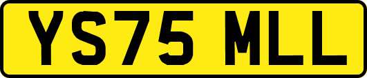 YS75MLL