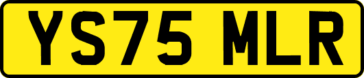 YS75MLR
