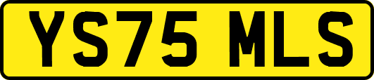 YS75MLS