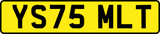 YS75MLT