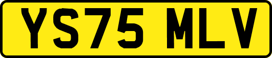 YS75MLV