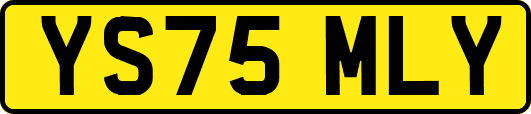 YS75MLY