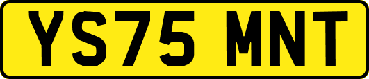 YS75MNT