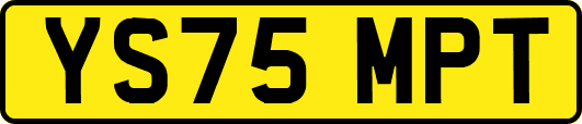 YS75MPT