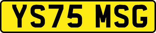 YS75MSG