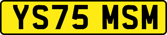 YS75MSM