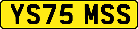 YS75MSS