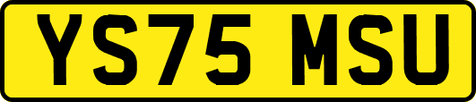 YS75MSU