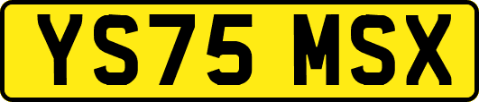 YS75MSX