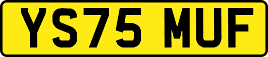 YS75MUF