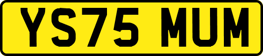 YS75MUM