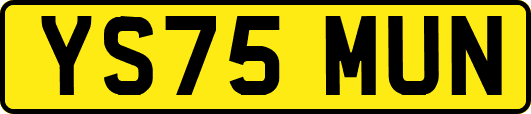 YS75MUN